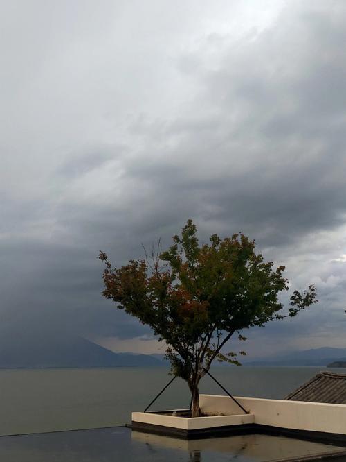 大理11月会容易下雨吗?大理10月底天气情况-图2 大理11月会容易下雨吗?大理10月底天气情况-图2
