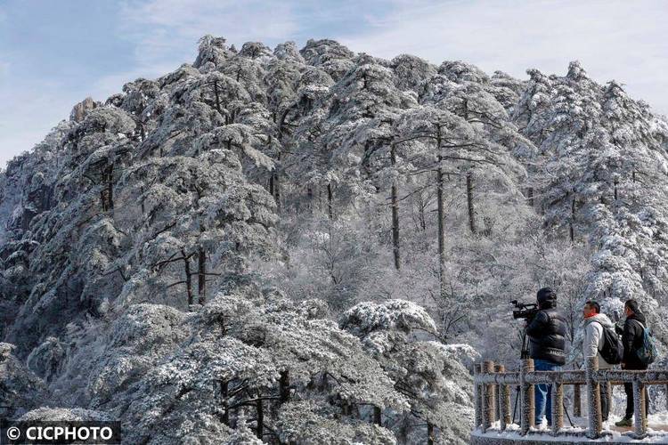 十一月份黄山山上冷吗?黄山11月天气情况-图2 十一月份黄山山上冷吗?黄山11月天气情况-图2