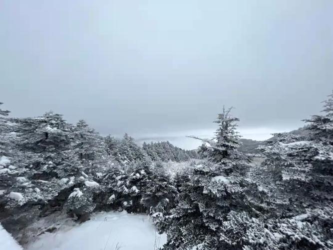 神农架十一天气冷吗?神农架最新天气情况-图2 神农架十一天气冷吗?神农架最新天气情况-图2
