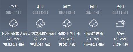 沈阳8月种什么菜最好？沈阳8月2天气情况