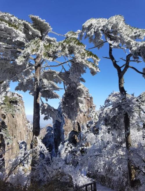10月底黄山山上冷吗?黄山十月天气情况-图2 10月底黄山山上冷吗?黄山十月天气情况-图2