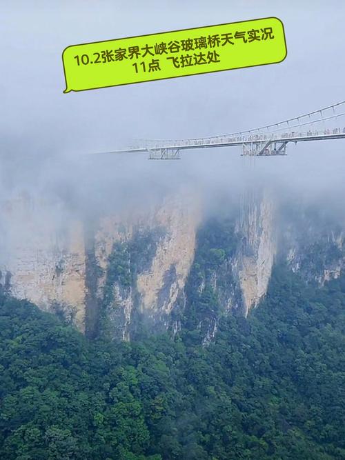张家界七月底天气怎么样?张家界9月底天气情况-图3 张家界七月底天气怎么样?张家界9月底天气情况-图3