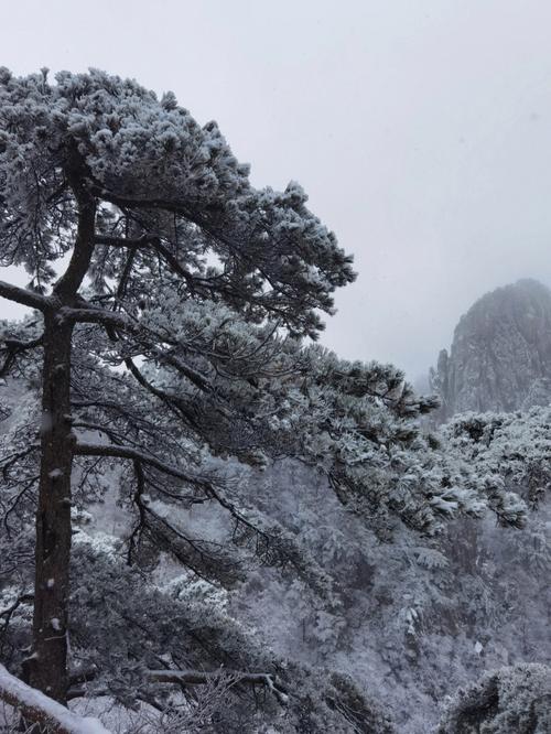 十月底去黄山天气合适么?黄山十月份天气情况-图3 十月底去黄山天气合适么?黄山十月份天气情况-图3