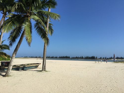春节期间海南文昌市椰林景点的天气情况?如何穿衣?文昌天气情况-图2 春节期间海南文昌市椰林景点的天气情况?如何穿衣?文昌天气情况-图2
