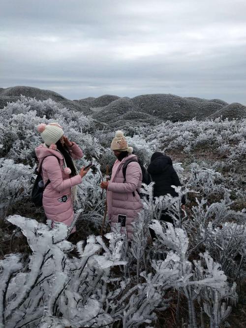 平阳看雾凇最好的地方？平阳天气情况