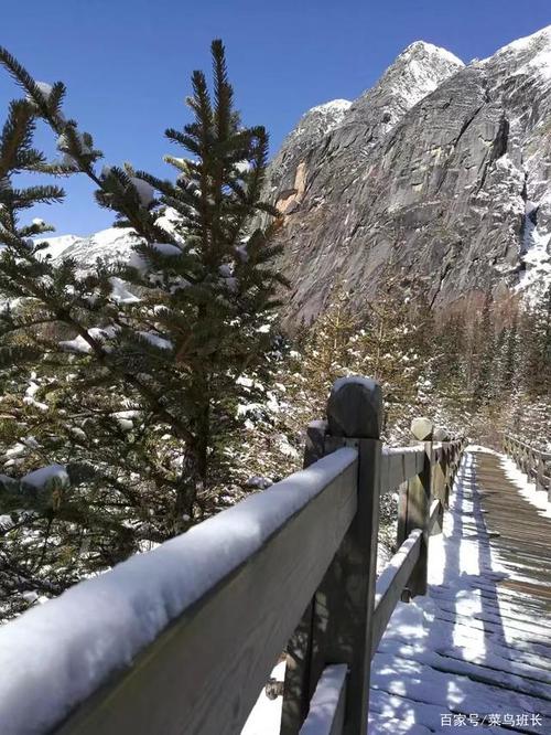 双桥沟下雪了吗?双桥沟天气情况-图2 双桥沟下雪了吗?双桥沟天气情况-图2