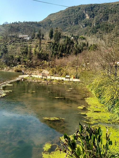 盘州市古银杏树景区气温?盘县天气情况-图3 盘州市古银杏树景区气温?盘县天气情况-图3