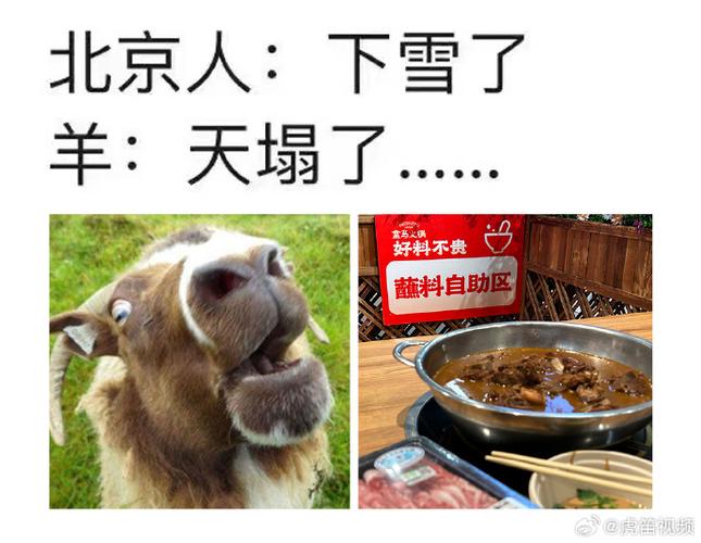天气冷了羊要保暖嘛?羊天气情况-图1 天气冷了羊要保暖嘛?羊天气情况-图1