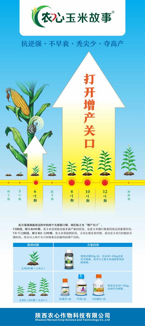 怎样能让玉米增产到两千斤一亩?德惠天气情况-图3 怎样能让玉米增产到两千斤一亩?德惠天气情况-图3