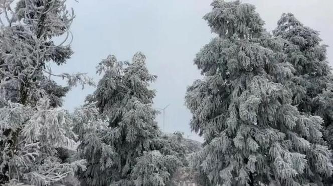 全州天湖现在下雪吗?天湖天气情况-图1 全州天湖现在下雪吗?天湖天气情况-图1