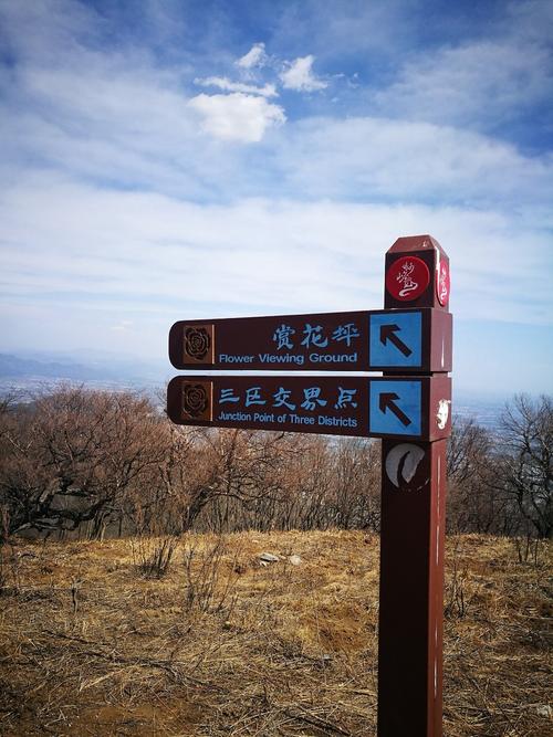 妙峰山玫瑰花开放最佳时间？妙峰山天气情况