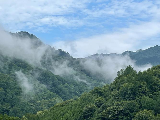 佛坪和太白哪个夏天凉快?佛坪天气情况-图1 佛坪和太白哪个夏天凉快?佛坪天气情况-图1
