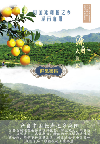 麻阳冰糖橙能放多久?麻阳天气情况-图3 麻阳冰糖橙能放多久?麻阳天气情况-图3