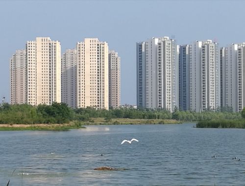 北方人想换个城市养老,哪个城市更适合?海阳天气情况-图2 北方人想换个城市养老,哪个城市更适合?海阳天气情况-图2