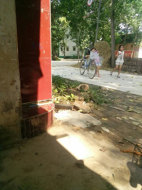 柘城在河南那里?太康天气情况-图3 柘城在河南那里?太康天气情况-图3