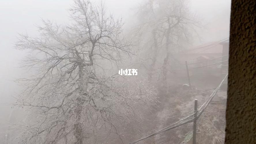 庐山下个星期会下雪吗?同仁天气情况-图2 庐山下个星期会下雪吗?同仁天气情况-图2