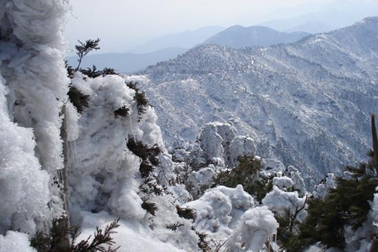 武隆仙女山什么时候下雪?武隆天气情况-图2 武隆仙女山什么时候下雪?武隆天气情况-图2