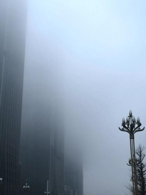 下雾是天气要转冷吗?天气情况 雾-图3 下雾是天气要转冷吗?天气情况 雾-图3