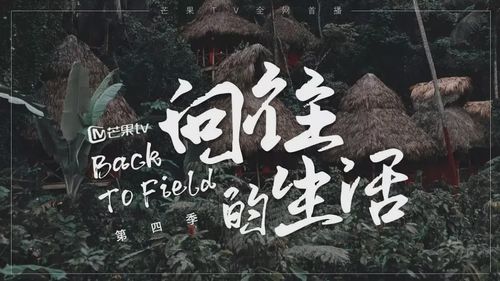 向往的生活唱下雨天是哪期?几期天气情况-图3 向往的生活唱下雨天是哪期?几期天气情况-图3