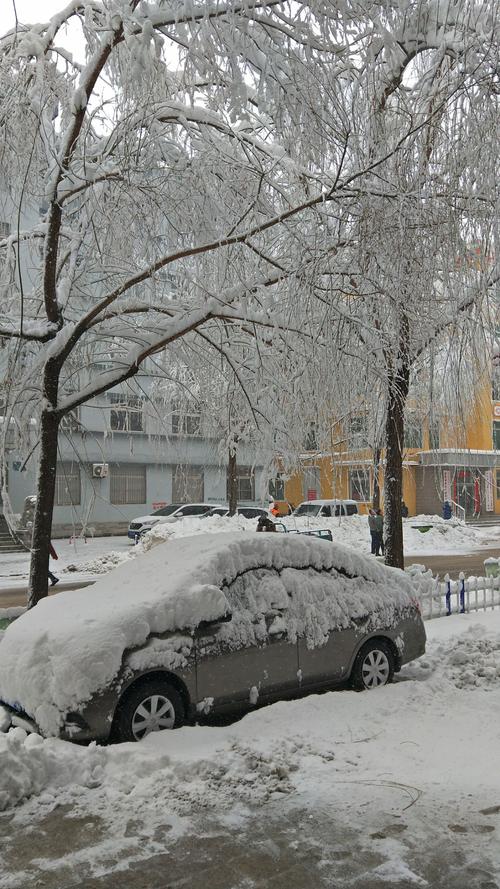辽源11月8号雪休吗?松辽天气情况-图3 辽源11月8号雪休吗?松辽天气情况-图3