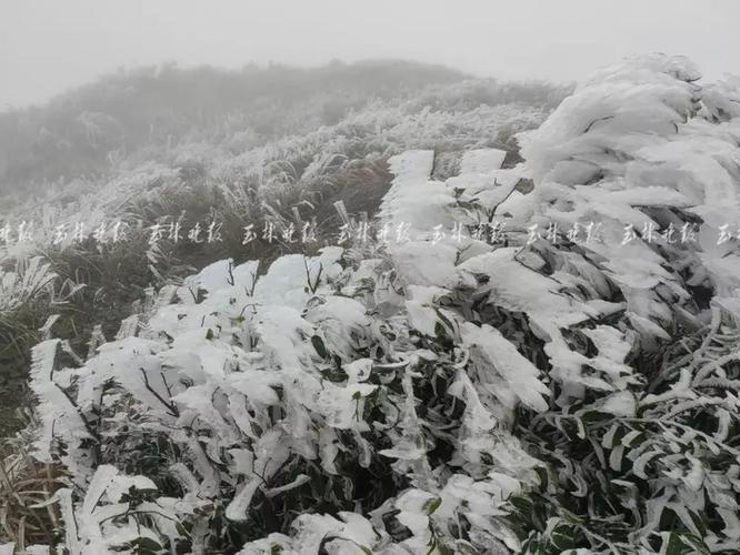 今天大容山结冰吗？大容山天气情况-图2