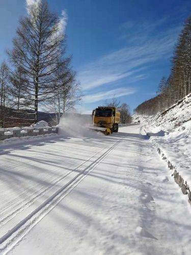 拉布大林6号到8号有雪吗?大林天气情况-图3 拉布大林6号到8号有雪吗?大林天气情况-图3