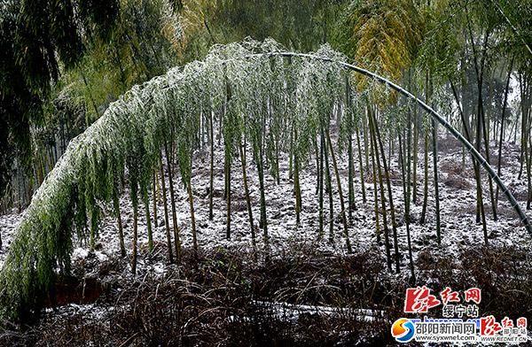 2022湖南邵阳会下雪吗？绥宁天气情况