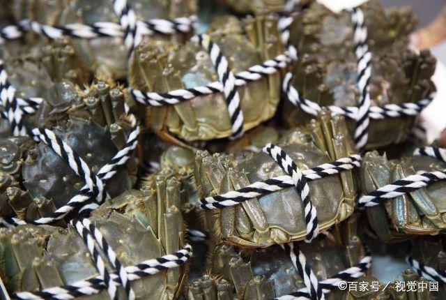 23年阳澄湖大闸蟹什么时候开湖？阳澄湖天气情况-图3