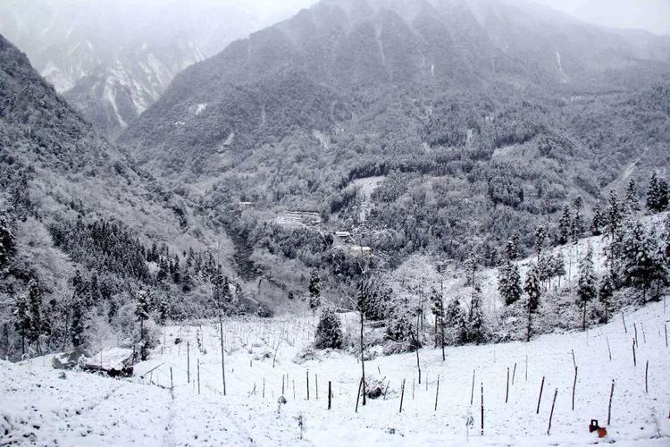 彭州太阳湾景区今天有雪吗？彭州天气情况