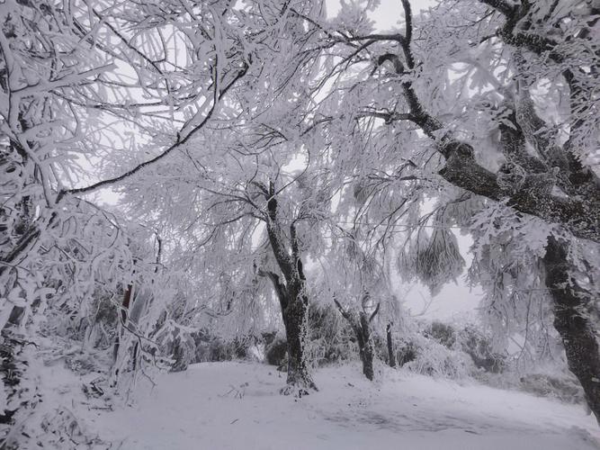 衡山12月16号下雪吗?衡山天气情况-图2 衡山12月16号下雪吗?衡山天气情况-图2