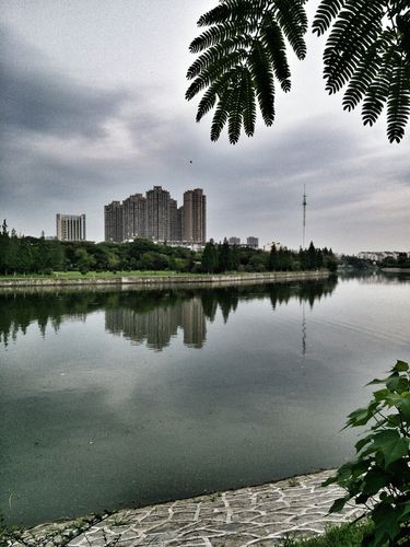 合肥什么气候?庐阳区天气情况-图3 合肥什么气候?庐阳区天气情况-图3