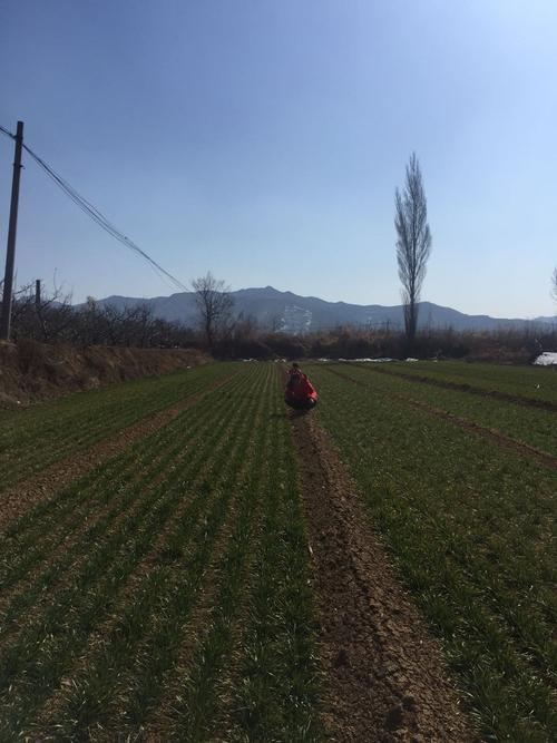 运城地区绛县的地理风貌?绛县天气情况-图3 运城地区绛县的地理风貌?绛县天气情况-图3