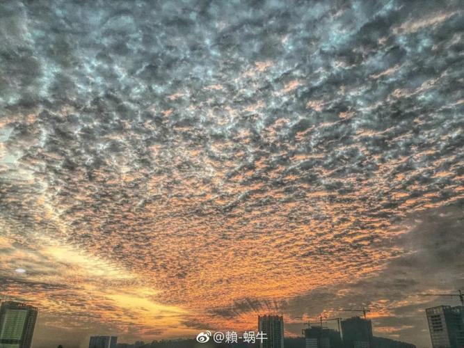 傍晚出现鱼鳞状的白云是什么天气？傍晚天气情况