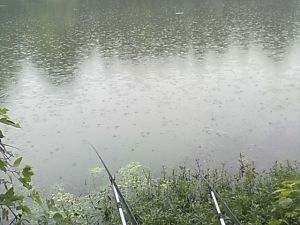 阴雨天钓草洞还是明水？明水天气情况