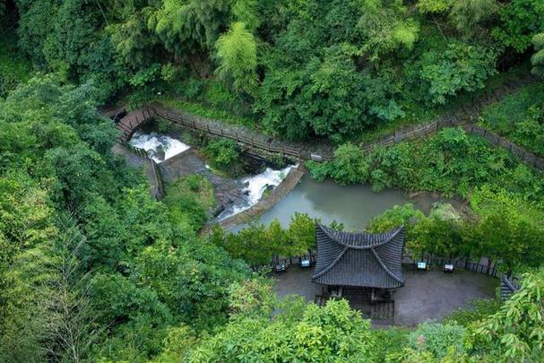 莫干山十一月天气冷吗?莫干山天气情况-图3 莫干山十一月天气冷吗?莫干山天气情况-图3