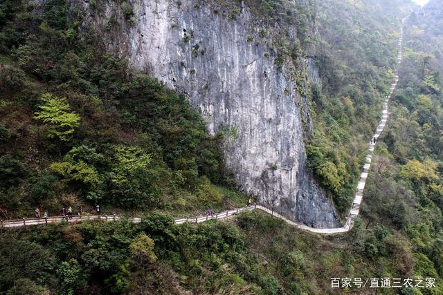 重庆周边夏天避暑的地方有哪些?酉阳天气情况-图1 重庆周边夏天避暑的地方有哪些?酉阳天气情况-图1