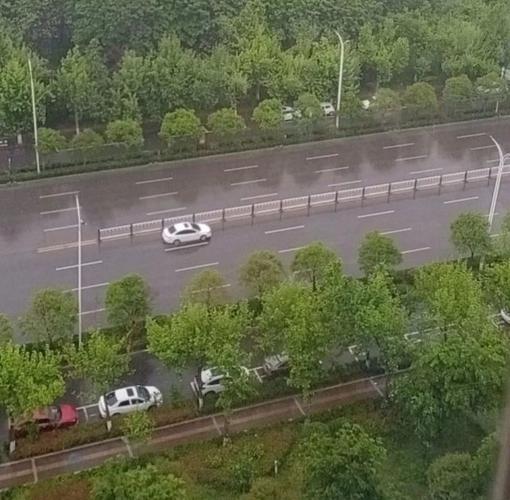 周口淮阳今天下雨了吗?淮阳天气情况-图3 周口淮阳今天下雨了吗?淮阳天气情况-图3