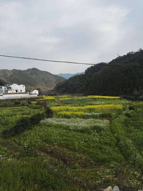 江西婺源1月份去好吗?上饶天气婺源天气情况-图2 江西婺源1月份去好吗?上饶天气婺源天气情况-图2