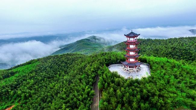 耒阳竹海旅游攻略?耒阳天气全年天气情况-图2 耒阳竹海旅游攻略?耒阳天气全年天气情况-图2