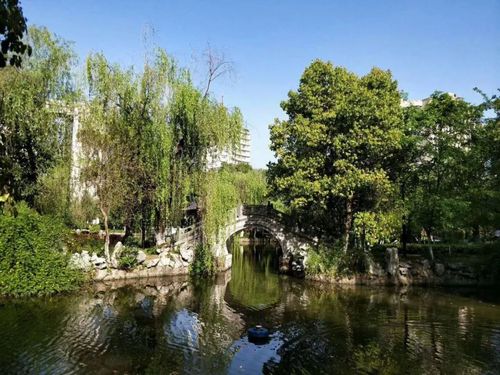 春阳和煦的意思是什么?春阳天气情况-图3 春阳和煦的意思是什么?春阳天气情况-图3