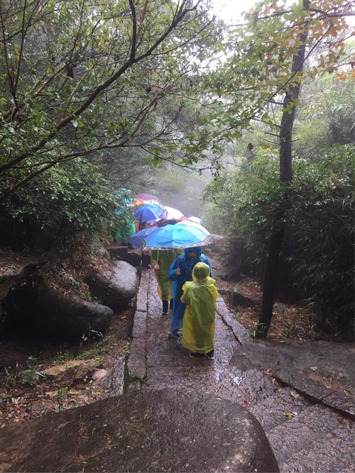下雨可以爬苍山吗?今天苍山天气情况-图1 下雨可以爬苍山吗?今天苍山天气情况-图1