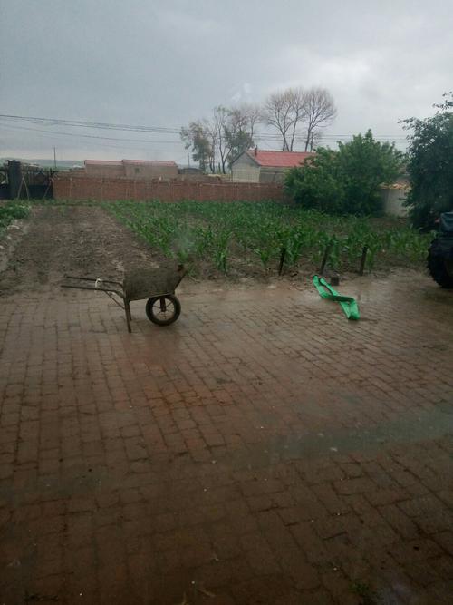 长岭县何时有透雨？长岭十五 天气情况-图2