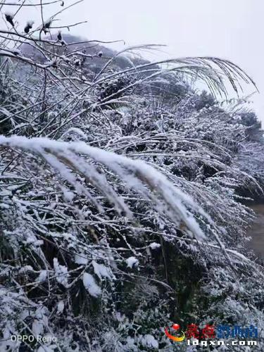 兴义什么时候下雪？兴义腊月天气情况