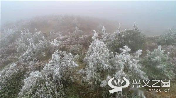 兴义什么时候下雪?兴义腊月天气情况-图2 兴义什么时候下雪?兴义腊月天气情况-图2
