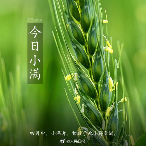 小满天气开始热了吗?小满天气情况-图3 小满天气开始热了吗?小满天气情况-图3