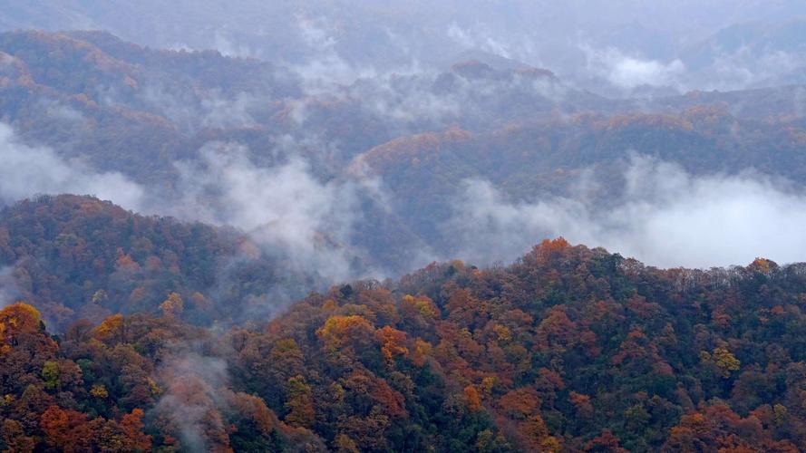 光雾山为何要封山?通江明日天气情况-图2 光雾山为何要封山?通江明日天气情况-图2