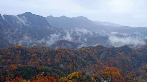 光雾山为何要封山?通江明日天气情况-图3 光雾山为何要封山?通江明日天气情况-图3