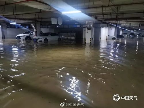静.海哪里被淹了?静海整点天气情况-图3 静.海哪里被淹了?静海整点天气情况-图3