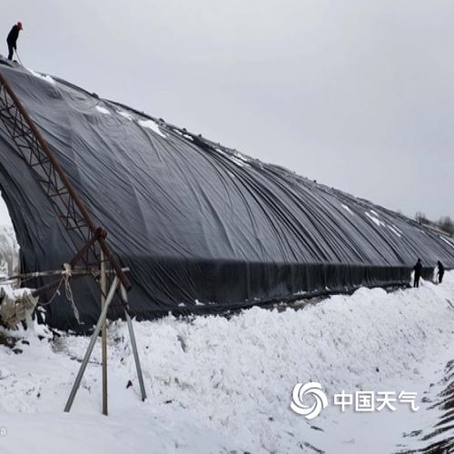 种植大棚用什么方法来防台风?山东寿光天气情况-图3 种植大棚用什么方法来防台风?山东寿光天气情况-图3
