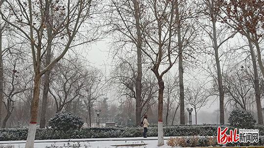 邯郸路上雪化了吗？武安今夜天气情况